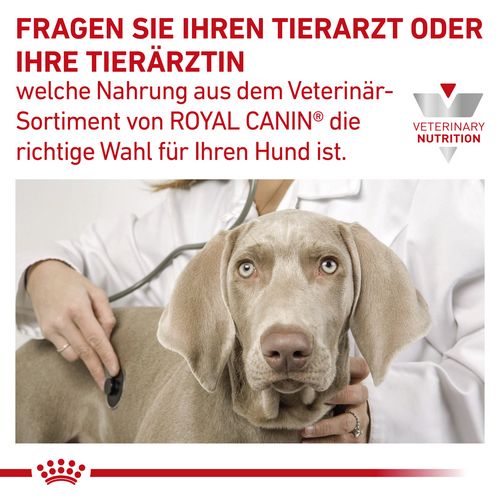 Royal Canin Veterinary URINARY S/O Mousse Nassfutter für Hunde 12 x 410 g