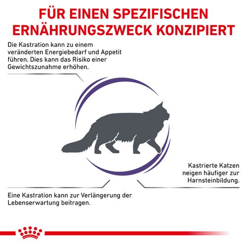 Royal Canin Expert NEUTERED SATIETY BALANCE Trockenfutter für Katzen