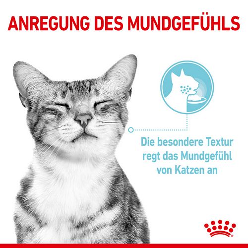 Royal Canin SENSORY Feel Nassfutter in Gelee für wählerische Katzen 12 x 85 g