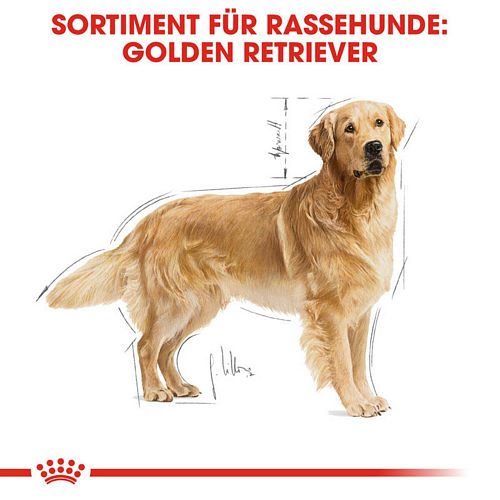 Royal Canin Golden Retriever Adult Hundefutter