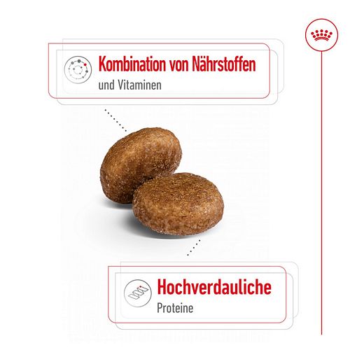 Royal Canin MAXI Adult 5+ Trockenfutter Kroketten