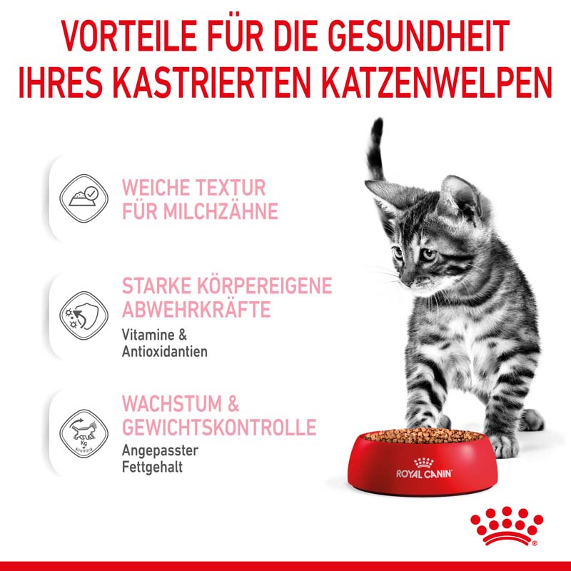 Royal Canin Kitten Sterilised Gravy 12 x 85 g