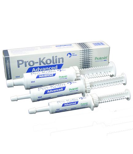  Protexin Pro-Kolin für Hunde bei Magen- und Darmproblemen 30ml