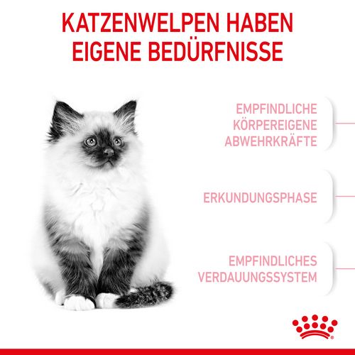 Royal Canin KITTEN Trockenfutter für Kätzchen bis zum 12. Monat 2 kg