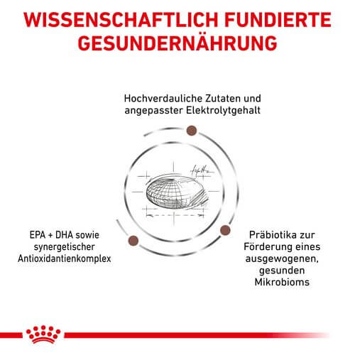 Royal Canin Veterinary GASTROINTESTINAL Trockenfutter für Hunde 15 kg