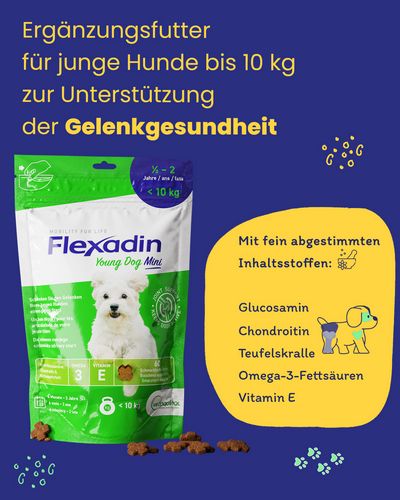 Vetoquinol - Flexadin - Young Dog MINI - 60 Chews 