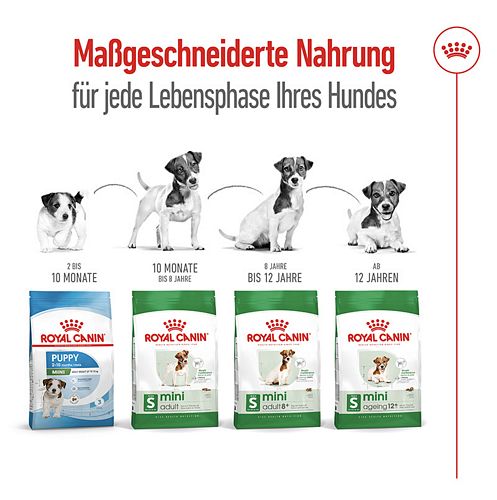 Royal Canin MINI Adult 8+ Trockenfutter Lebensphasen