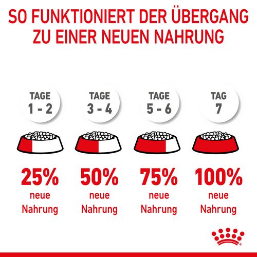 Royal Canin MINI Starter Trockenfutter für tragende Hündin und Welpen kleiner Rassen von der 3. - 8. Woche 4 kg