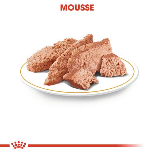 Royal Canin Dachshund Adult Hundefutter nass Mousse