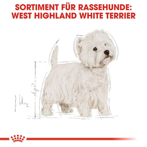 Royal Canin West Highland White Terrier Adult Hundefutter trocken