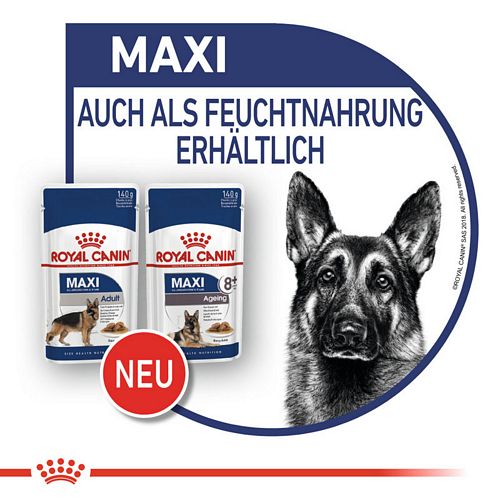 Royal Canin MAXI ADULT Nassfutter für große Hunde