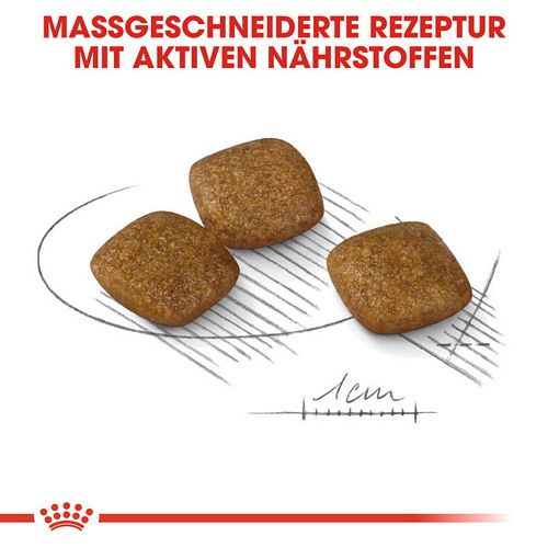 Royal Canin RELAX CARE MINI Trockenfutter Kroketten