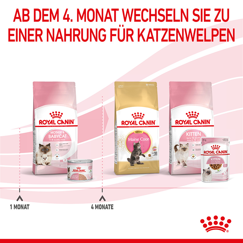 Royal Canin MOTHER & BABYCAT Mousse für tragende Katzen und Kitten 12 x 195 g