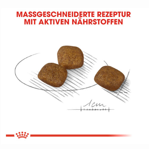 Royal Canin COAT CARE MINI Trockenfutter für kleine Hunde Kroketten