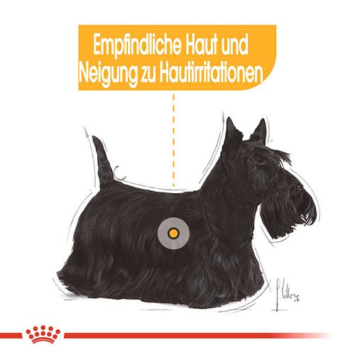 Royal Canin DERMACOMFORT MINI Trockenfutter für kleine Hunde mit empfindlicher Haut