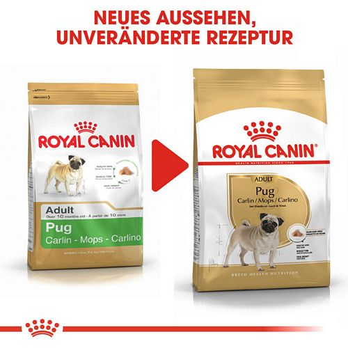 Royal Canin Pug Adult Trockenfutter für Hunde