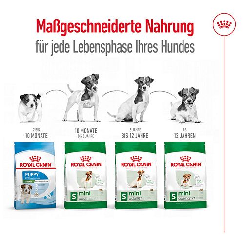 Royal Canin MINI Adult Trockenfutter für kleine Hunde 800g