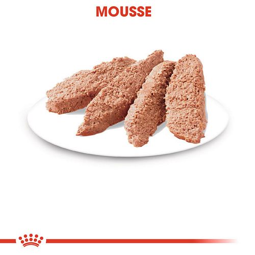 Royal Canin INSTINCTIVE Katzenfutter nass Mousse