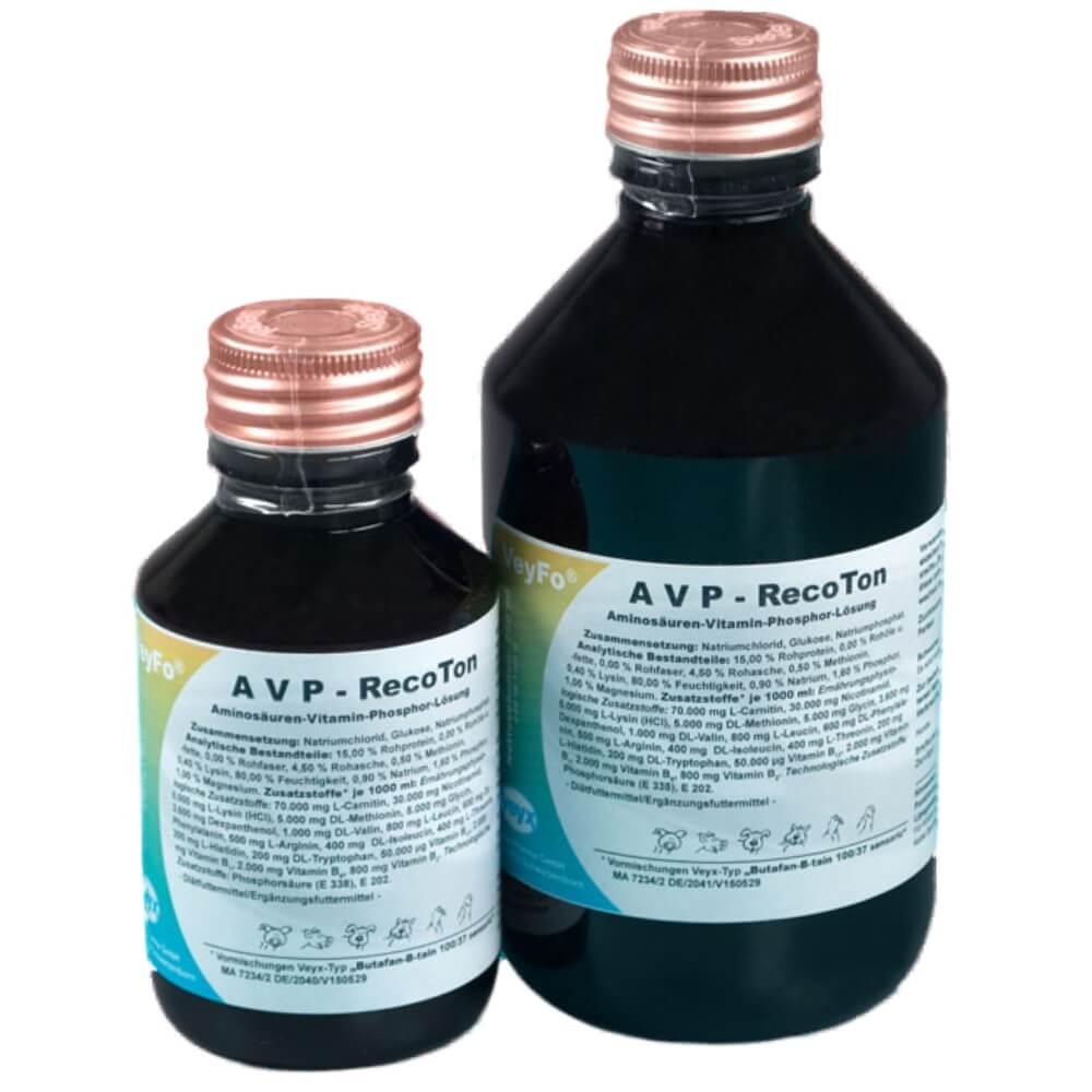 VeyFo AVP-RecoTon mit Vitamin B Komplex von Veyx