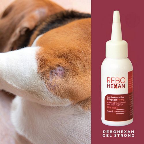 ReboHexan - ANTIBAKTERIELLES PFLEGEGEL - STRONG Wunde