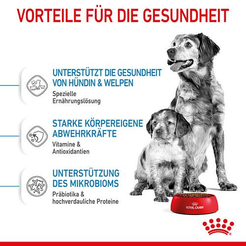 Royal Canin MEDIUM Starter 15 kg