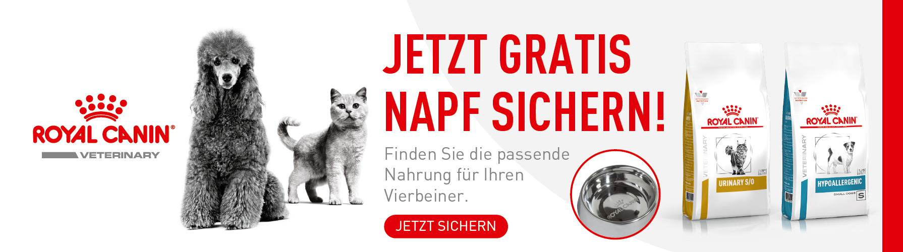 Royal Canin Small Bags