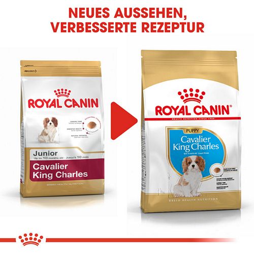 Royal Canin Cavalier King Charles Puppy Welpenfutter trocken