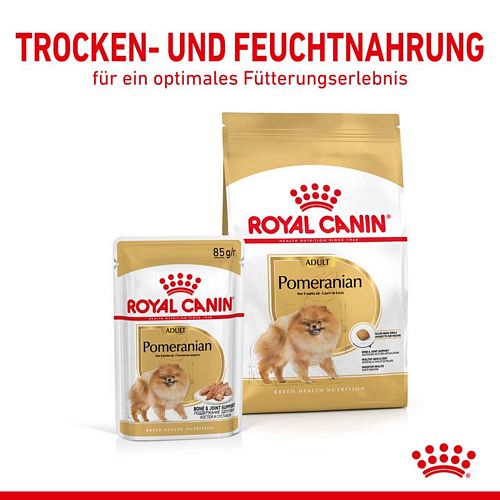 Royal Canin POMERANIAN Adult 12 x 85 g- Nassfutter