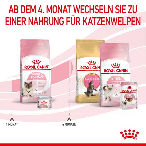 Royal Canin MOTHER & BABYCAT Katzenfutter für tragende Katzen und Kitten 400 g