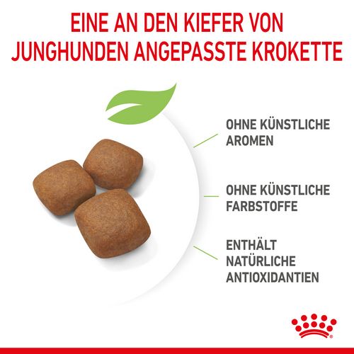 Royal Canin GIANT Junior Welpenfutter trocken Kroketten