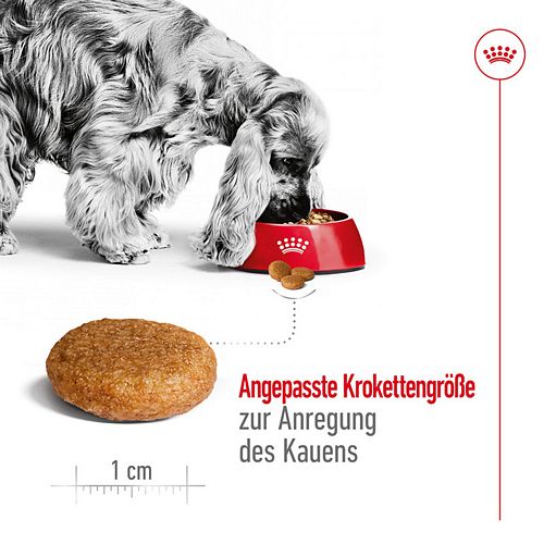 Royal Canin MEDIUM Adult Trockenfutter für mittelgroße Hunde 15kg