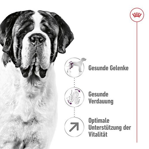 Royal Canin GIANT Adult Trockenfutter für sehr große Hunde Vorteile