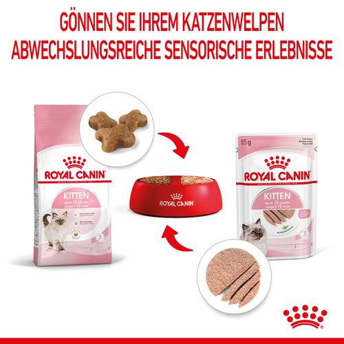 Royal Canin KITTEN Nassfutter in Mousse für Kätzchen 12 x 85 g