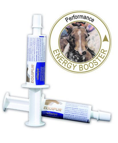 Vetripharm Equipur vitalyt