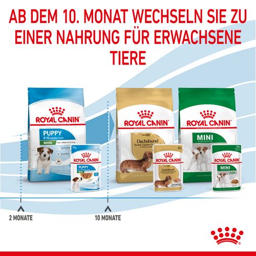Royal Canin MINI Puppy Welpenfutter Nass Umstellung