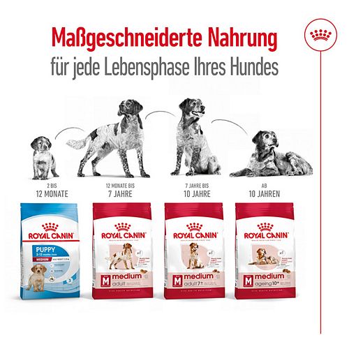 Royal Canin MEDIUM Adult Trockenfutter für mittelgroße Hunde 15kg