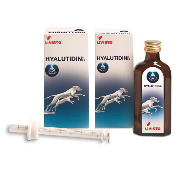 Livisto HYALUTIDIN DC - 1 Flasche - à 125 ml Livisto HYALUTIDIN DC - 1 Flasche - à 125 ml