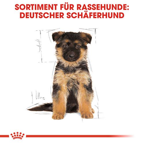 Royal Canin German Shepherd Puppy Welpenfutter trocken für Deutsche Schäferhunde