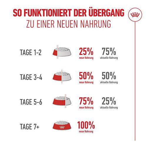 Royal Canin Ageing 15+ Trockenfutter Katze Übergang