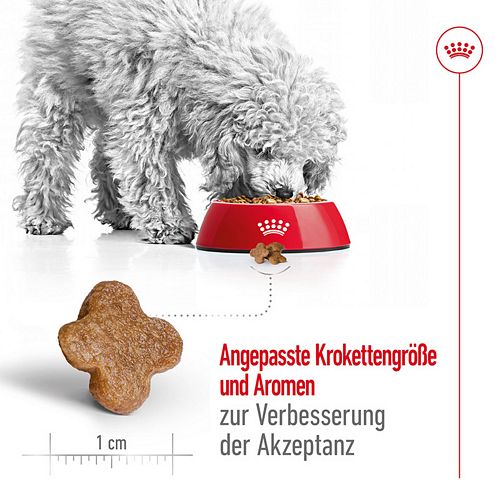 Royal Canin MINI Adult 8+ Trockenfutter für ältere kleine Hunde 2kg