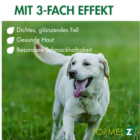Formula Z Hund 3