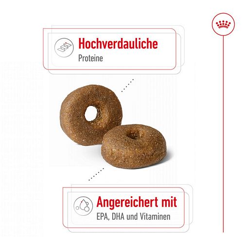 Royal Canin MAXI Ageing 8+ Trockenfutter für ältere große Hunde Kroketten