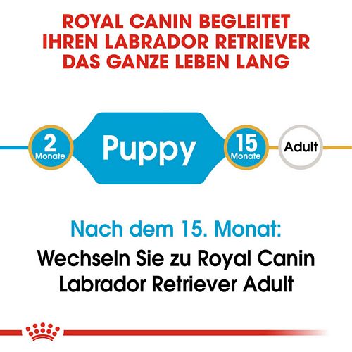 Royal Canin Labrador Retriever Puppy Welpenfutter trocken Leben