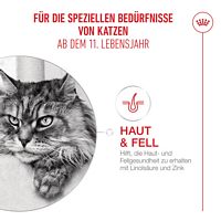 Royal Canin Produkte
