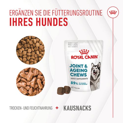 Royal Canin - JOINT & AGEING CHEWS ADULT SUPPLEMENTS als Ergänzung