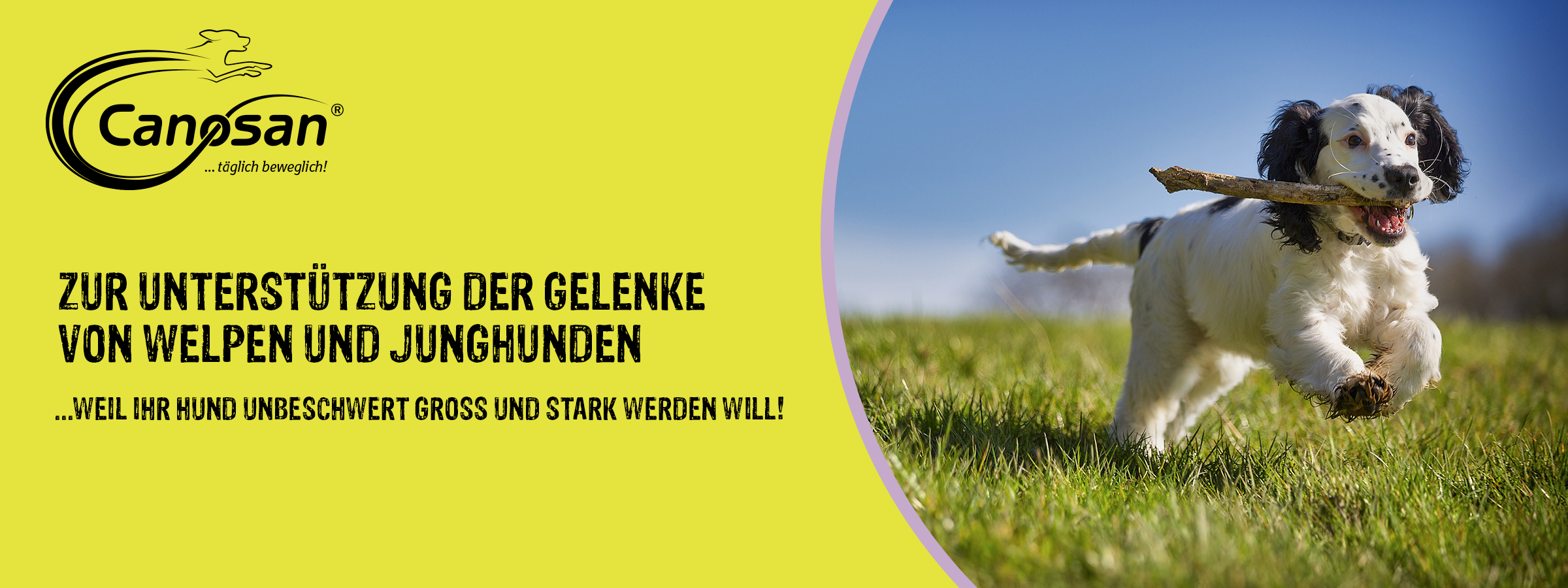 Canosan Unterstützung der Gelenke Canosan Unterstützung der Gelenke
