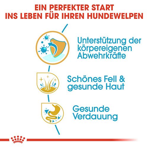 Royal Canin Golden Retriever Puppy Welpenfutter trocken Vorteile