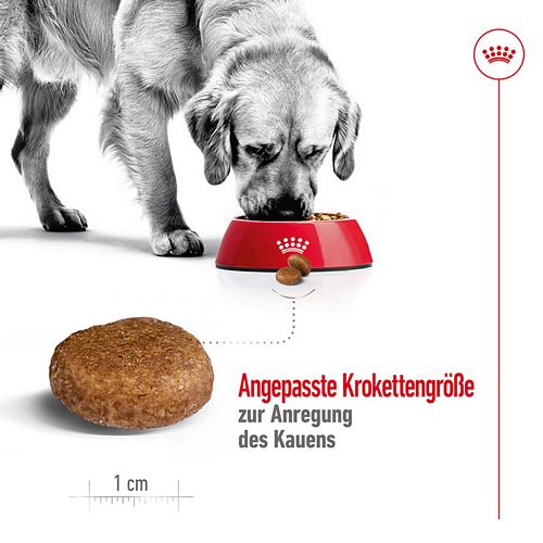 Royal Canin MAXI Adult 5+ Trockenfutter für ältere große Hunde 15kg