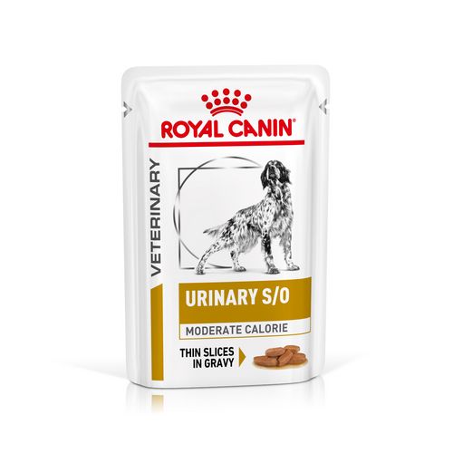 Royal Canin Veterinary URINARY S/O MODERATE CALORIE Nassfutter für Hunde 12 x 100 g