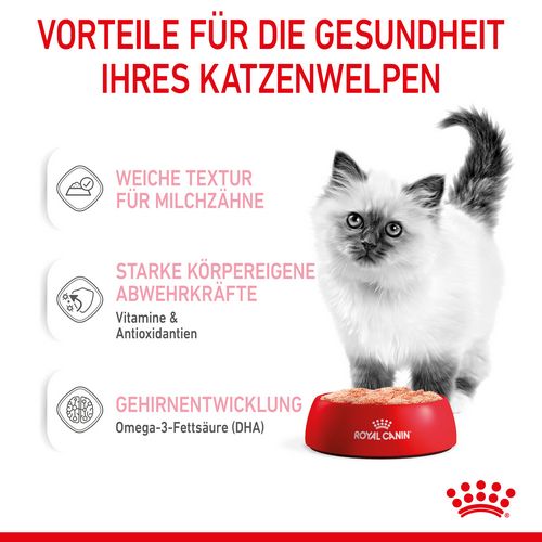 Royal Canin KITTEN Nassfutter in Mousse für Kätzchen 12 x 85 g